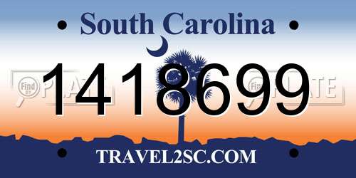 1418699 South Carolina License Plate
