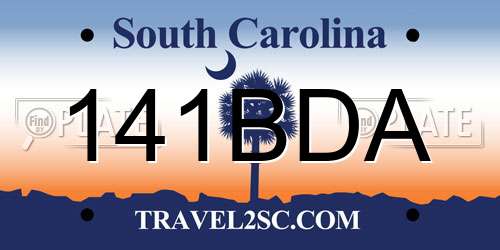 141BDA South Carolina License Plate