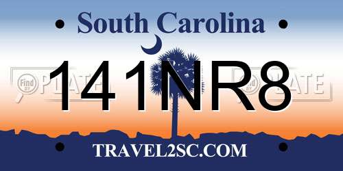 141NR8 South Carolina License Plate