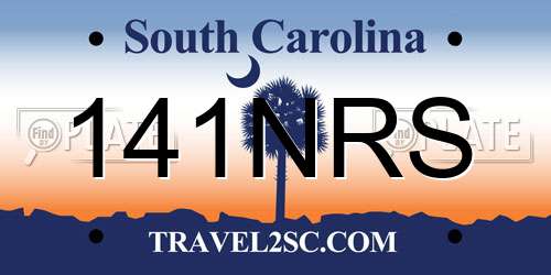 141NRS South Carolina License Plate