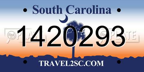 1420293 South Carolina License Plate