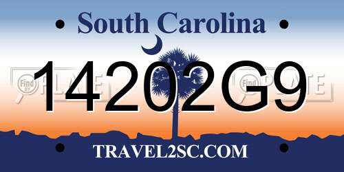 14202G9 South Carolina License Plate