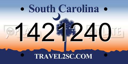 1421240 South Carolina License Plate