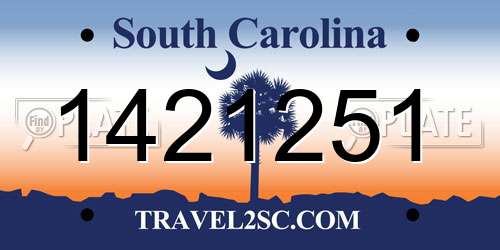 1421251 South Carolina License Plate