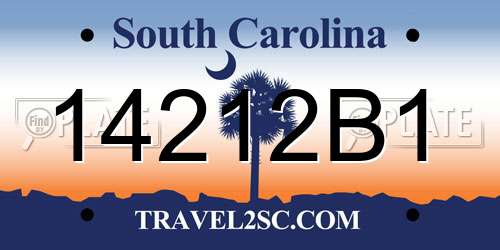 14212B1 South Carolina License Plate