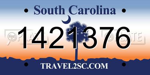 1421376 South Carolina License Plate