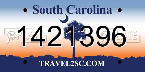 1421396 South Carolina License Plate
