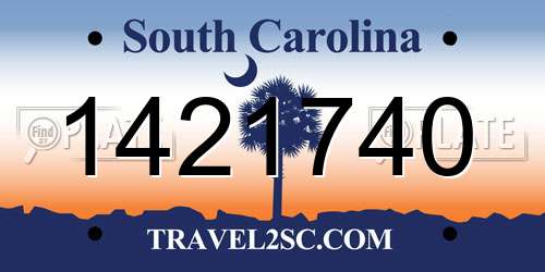 1421740 South Carolina License Plate