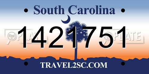 1421751 South Carolina License Plate