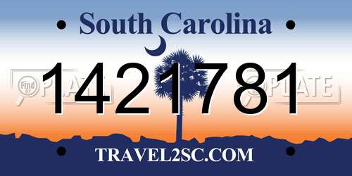 1421781 South Carolina License Plate