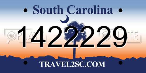 1422229 South Carolina License Plate