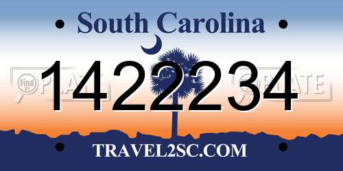 1422234 South Carolina License Plate