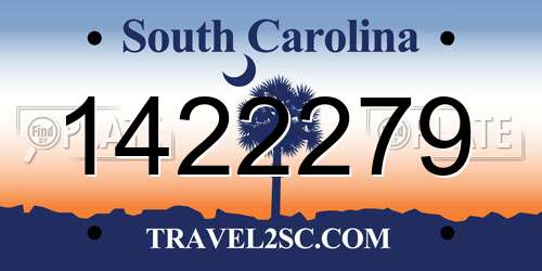 1422279 South Carolina License Plate