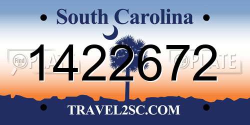 1422672 South Carolina License Plate