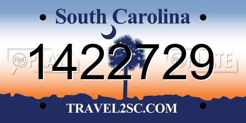 1422729 South Carolina License Plate