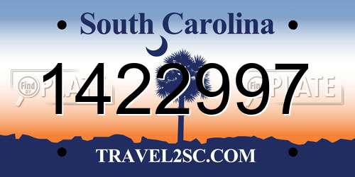 1422997 South Carolina License Plate