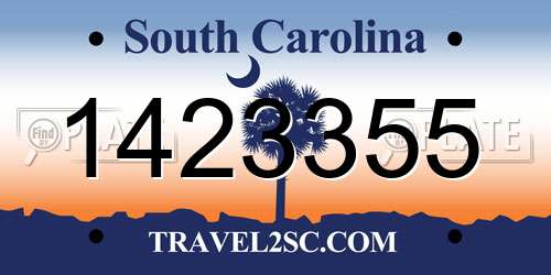 1423355 South Carolina License Plate