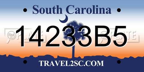 14233B5 South Carolina License Plate