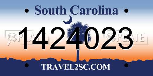 1424023 South Carolina License Plate