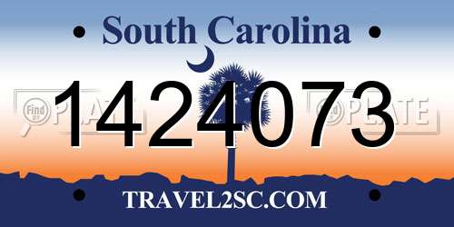 1424073 South Carolina License Plate