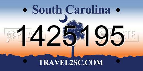 1425195 South Carolina License Plate