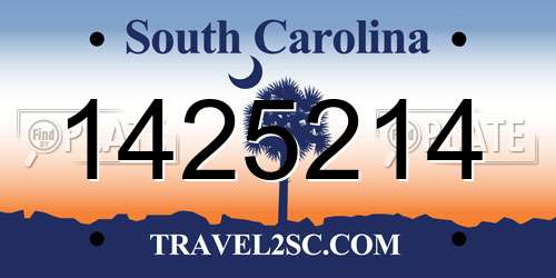 1425214 South Carolina License Plate