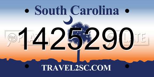 1425290 South Carolina License Plate