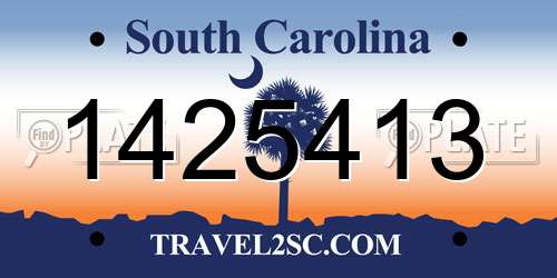 1425413 South Carolina License Plate