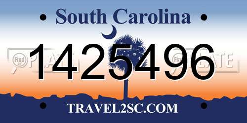 1425496 South Carolina License Plate