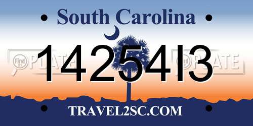 14254I3 South Carolina License Plate
