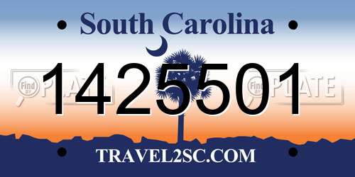 1425501 South Carolina License Plate