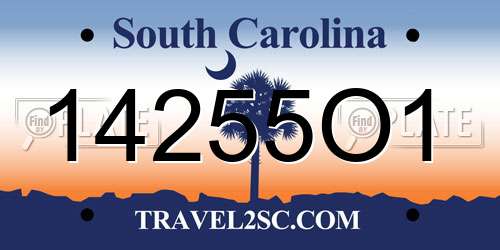 14255O1 South Carolina License Plate
