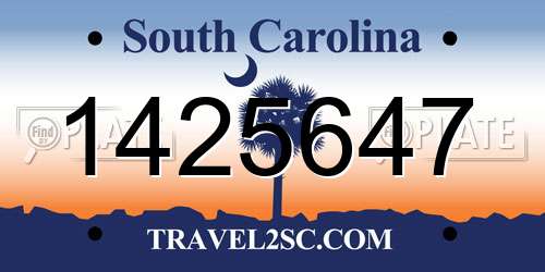 1425647 South Carolina License Plate