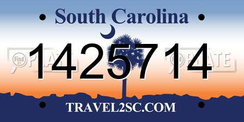 1425714 South Carolina License Plate