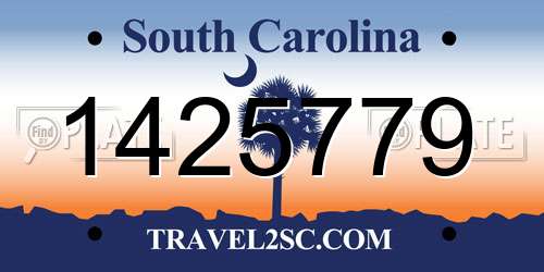 1425779 South Carolina License Plate