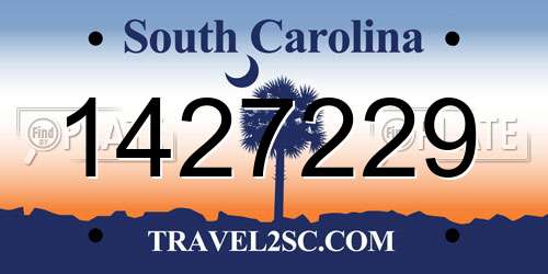 1427229 South Carolina License Plate