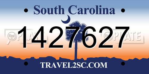 1427627 South Carolina License Plate