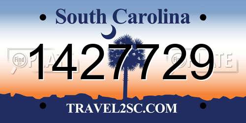 1427729 South Carolina License Plate