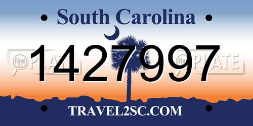 1427997 South Carolina License Plate