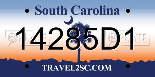14285D1 South Carolina License Plate