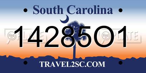 14285O1 South Carolina License Plate