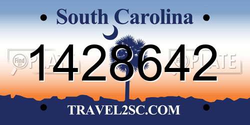 1428642 South Carolina License Plate