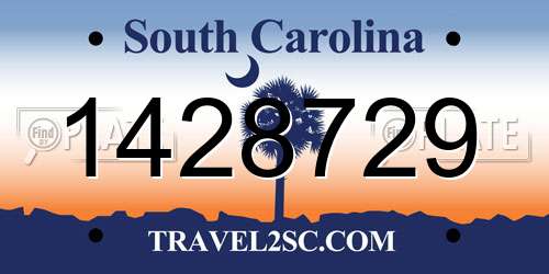 1428729 South Carolina License Plate