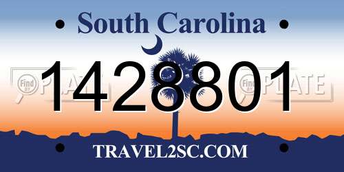 1428801 South Carolina License Plate