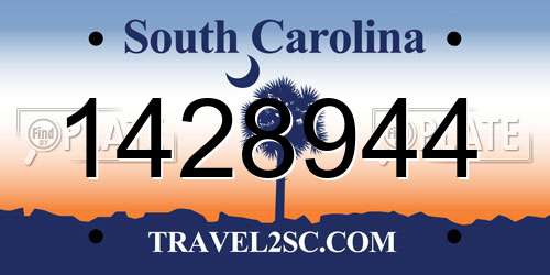 1428944 South Carolina License Plate
