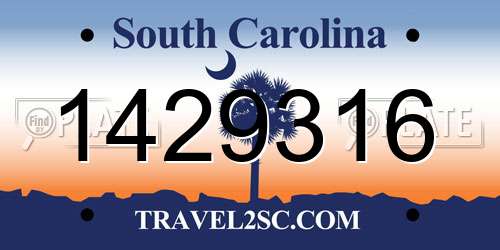 1429316 South Carolina License Plate