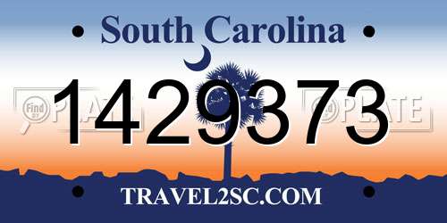 1429373 South Carolina License Plate