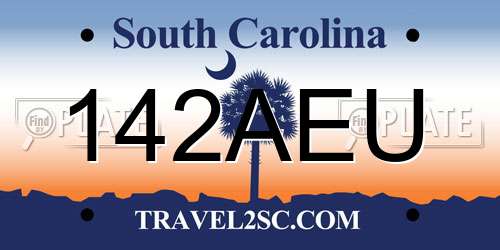 142AEU South Carolina License Plate