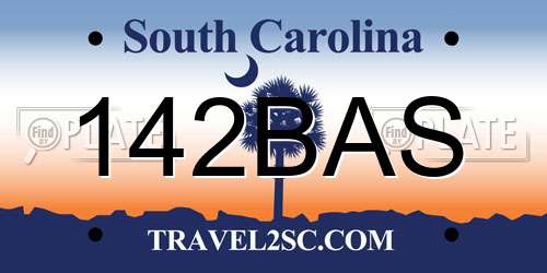 142BAS South Carolina License Plate