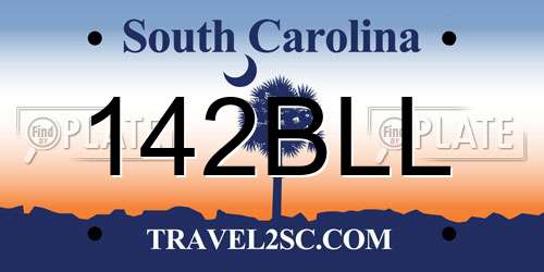 142BLL South Carolina License Plate